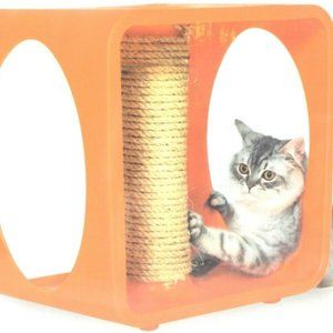 kitty kasas gym cube